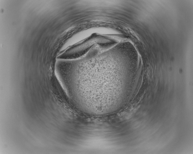 X0000088730821200706141636