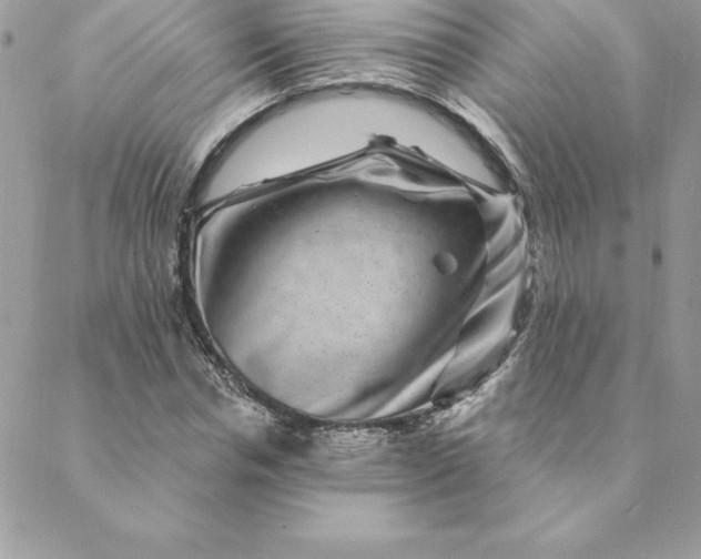 X0000088730826200706141636