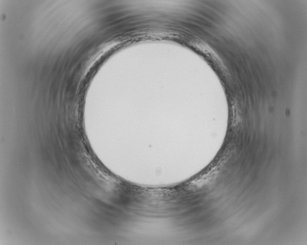 X0000088730828200706141636