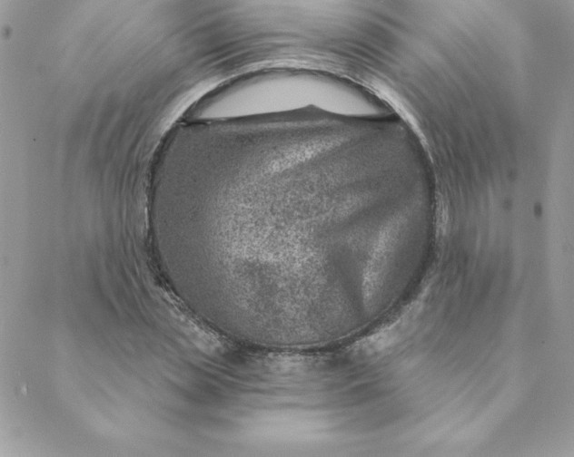 X0000088730829200706141636