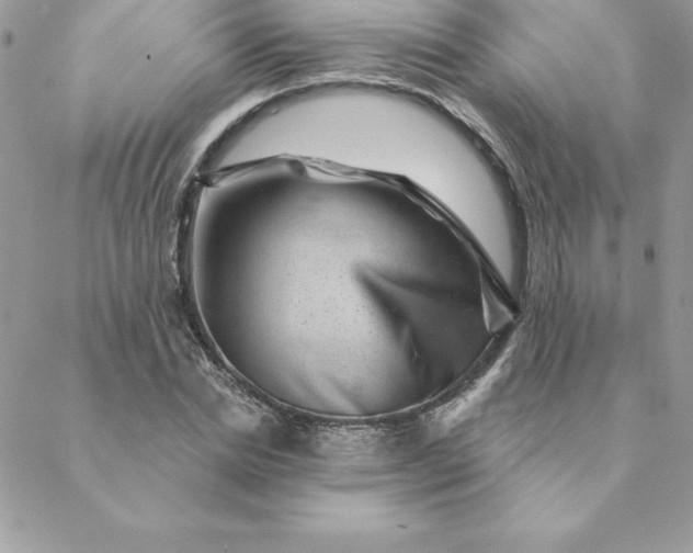 X0000088730830200706141636