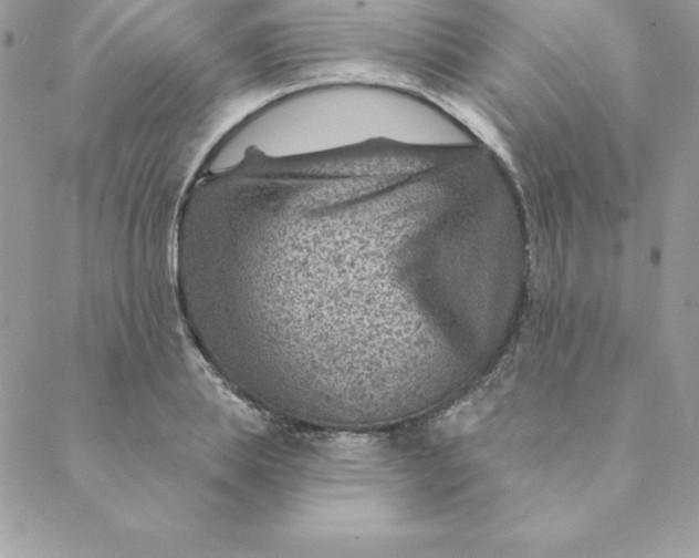 X0000088730839200706141636
