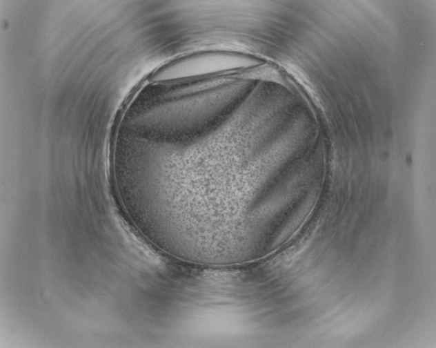 X0000088730840200706141636