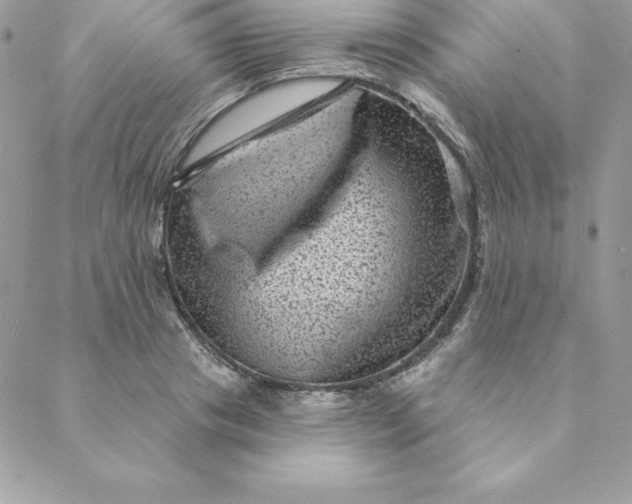 X0000088730841200706141636
