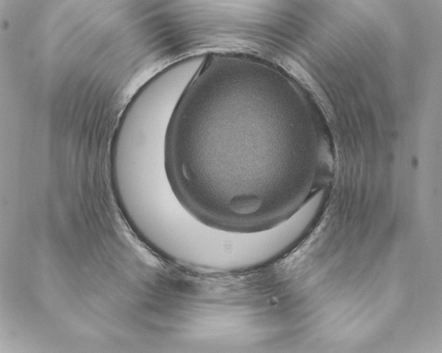 X0000088730842200706141636