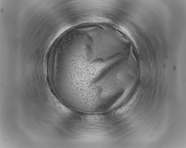 X0000088730843200706141636