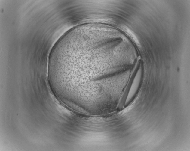 X0000088730844200706141636