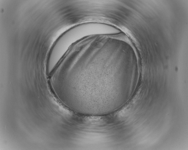 X0000088730846200706141636