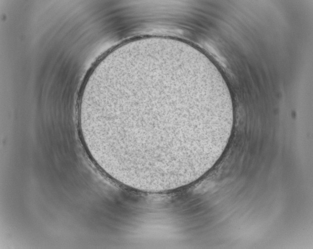 X0000088730848200706141636