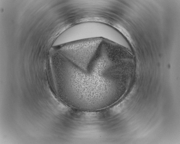 X0000088730849200706141636