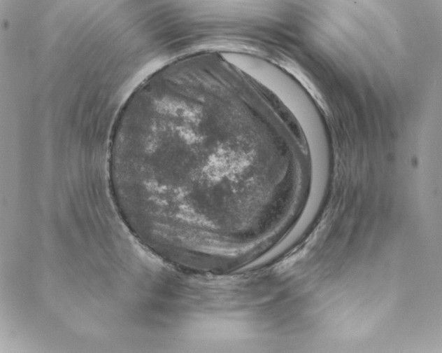 X0000088730853200706141636