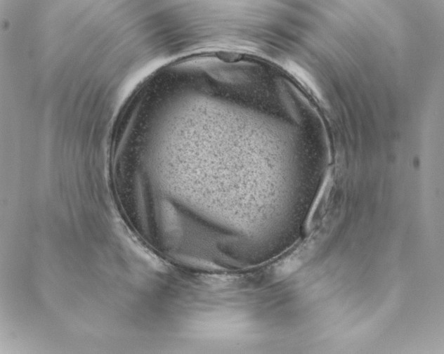 X0000088730854200706141636
