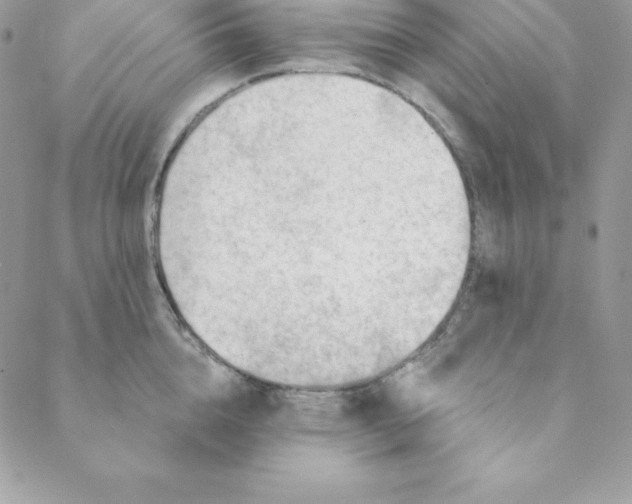 X0000088730856200706141636