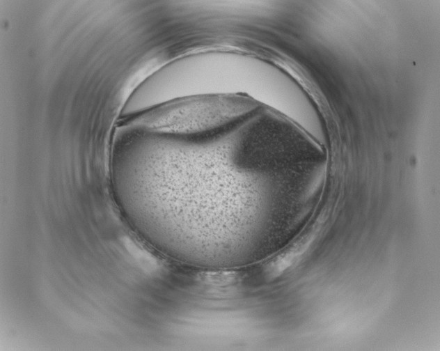 X0000088730858200706141636