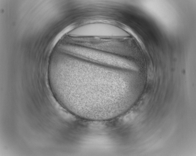 X0000088730861200706141636