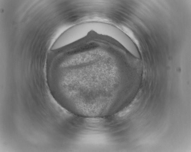 X0000088730863200706141636