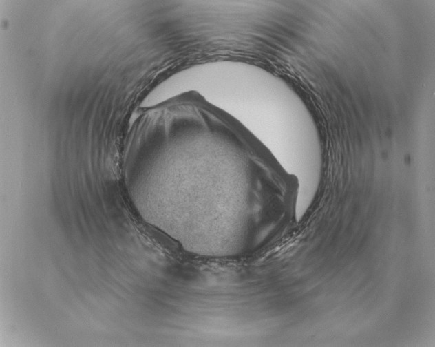 X0000088730868200706141636