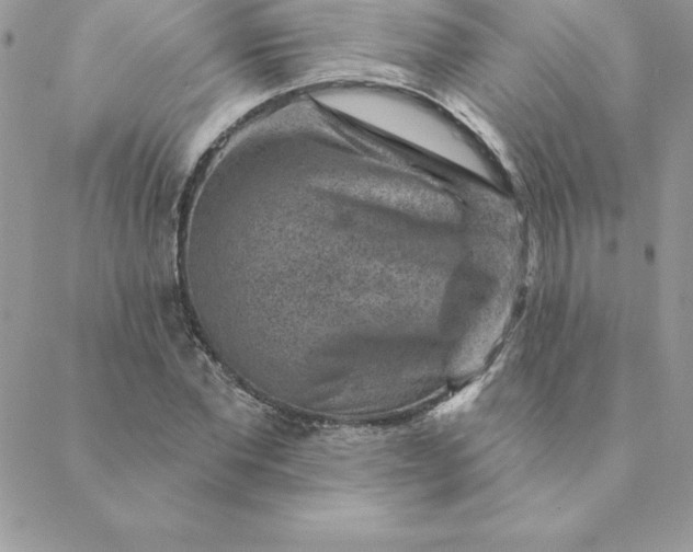 X0000088730877200706141635