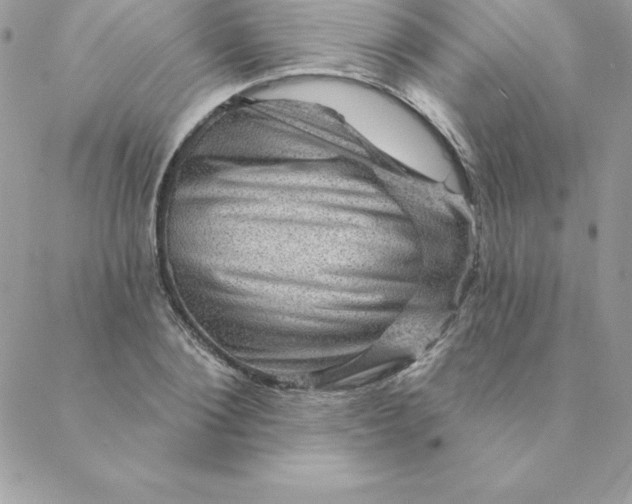 X0000088730884200706141635