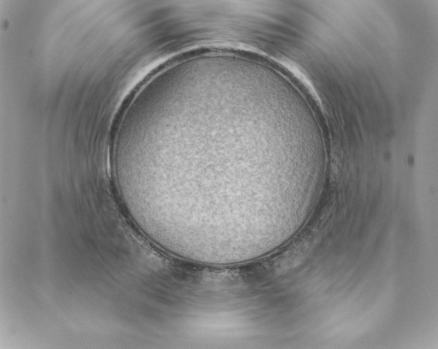 X0000088730887200706141635