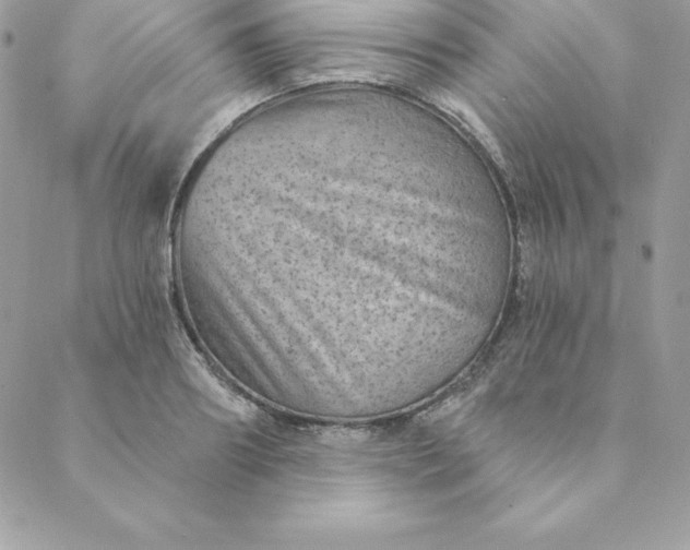 X0000088730890200706141635