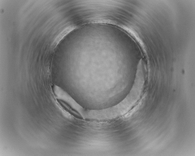 X0000088730897200706141635
