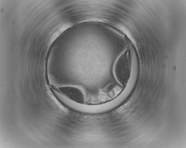 X0000088730898200706141635