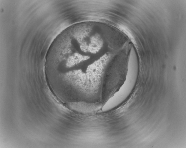 X0000088730899200706141635