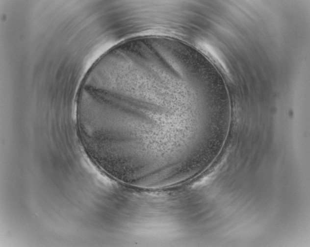 X0000088730900200706141635