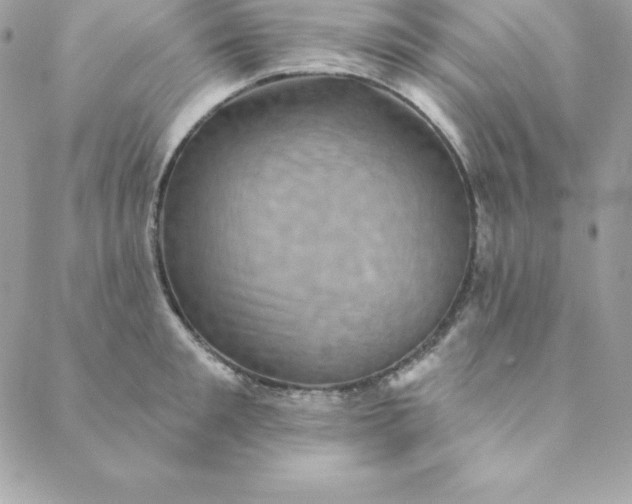 X0000088730901200706141635
