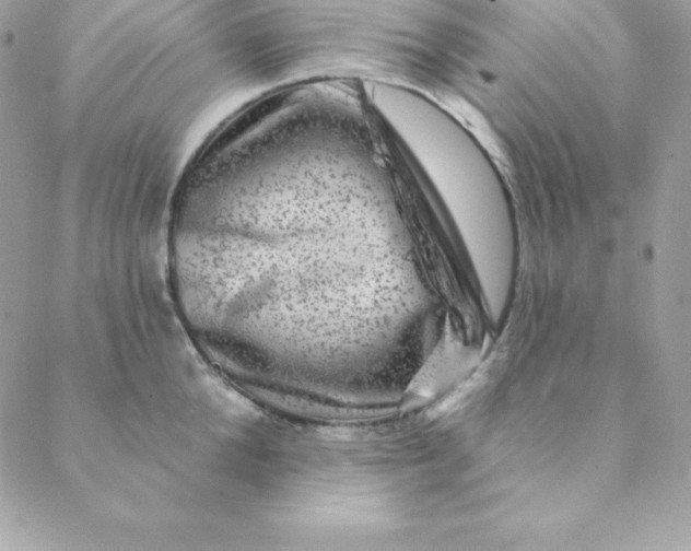 X0000088730904200706141635