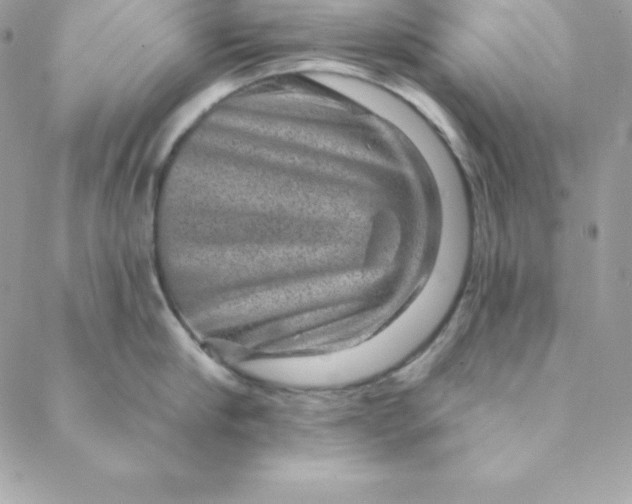 X0000088730910200706141635