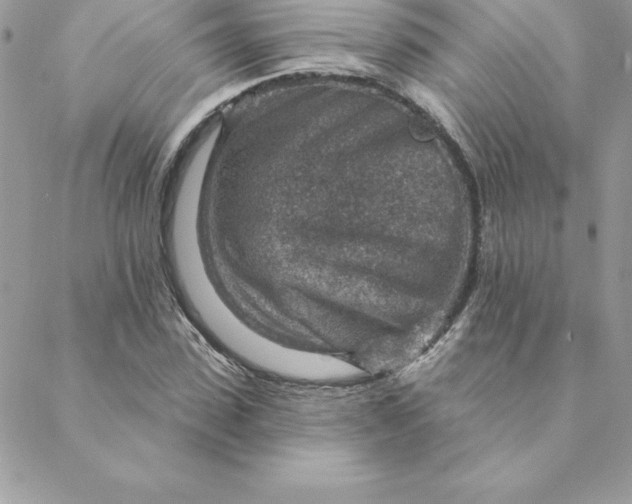 X0000088730923200706141634