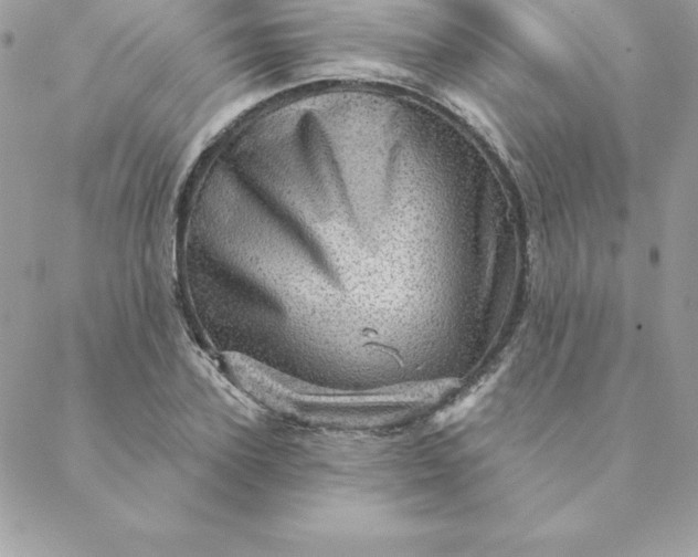 X0000088730931200706141634
