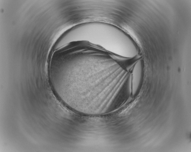 X0000088730932200706141634