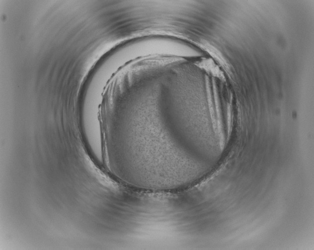 X0000088730934200706141634