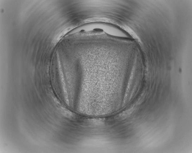 X0000088730937200706141634