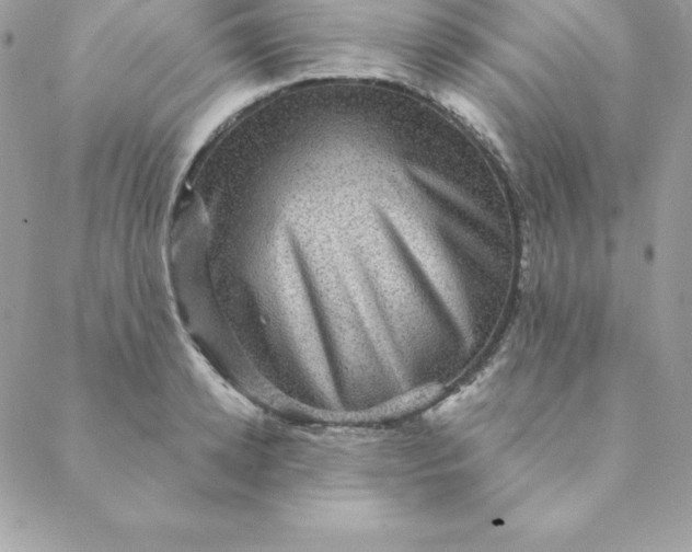 X0000088730942200706141634