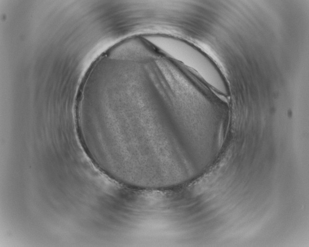 X0000088730943200706141635