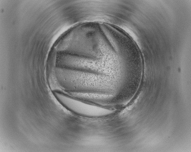 X0000088730949200706141635