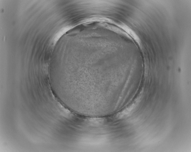 X0000088730953200706141635