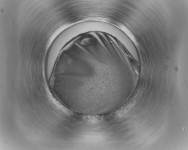 X0000088730955200706141635
