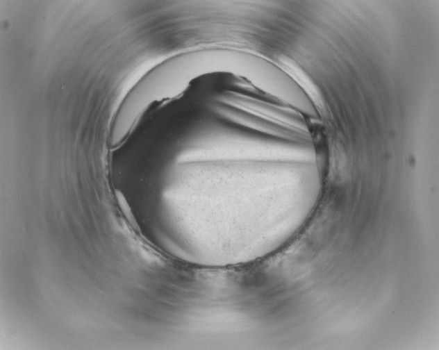 X0000088730956200706141635