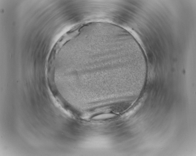 X0000088730957200706141635