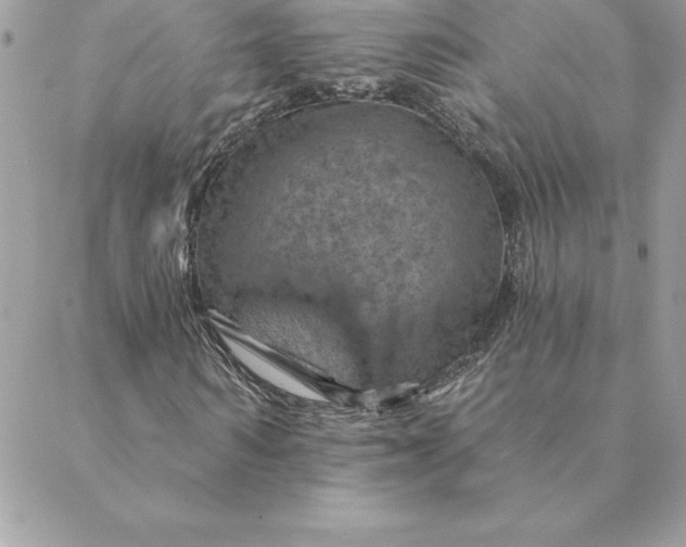 X0000088730962200706141634