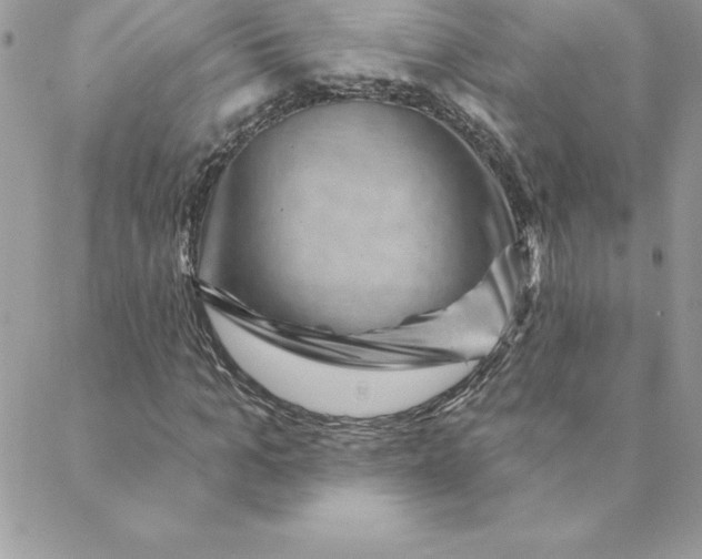 X0000088730965200706141634