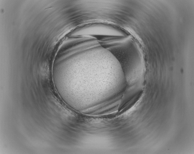 X0000088730969200706141634