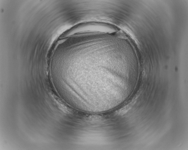 X0000088730974200706141634