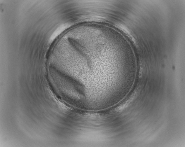 X0000088730978200706141634