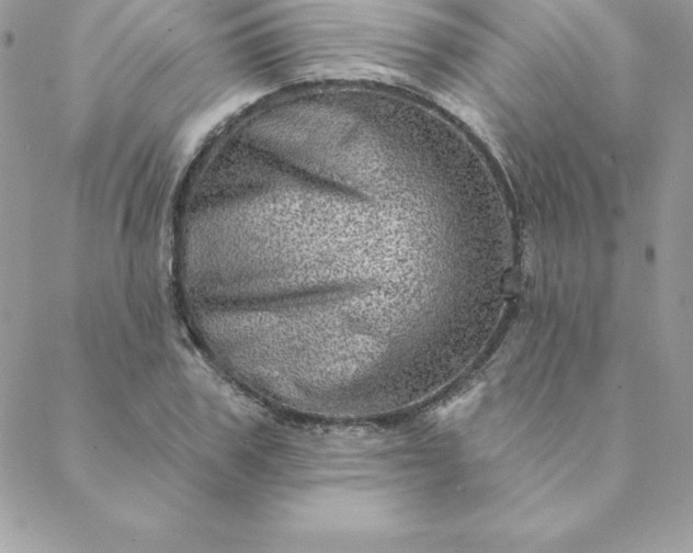X0000088730979200706141634